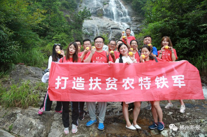 革命老区的新面貌:旧土焕新颜